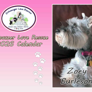 2026 Schnauzer Love Rescue Calendars