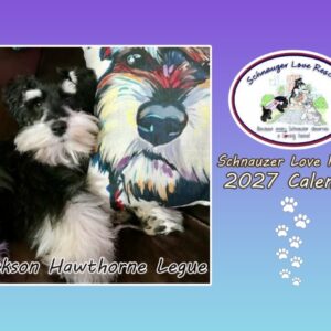 2027 Schnauzer Love Rescue Calendars - Image 1