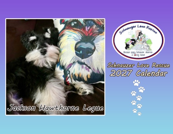 2027 Schnauzer Love Rescue Calendars