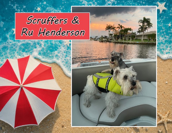 2027 Schnauzer Love Rescue Calendars