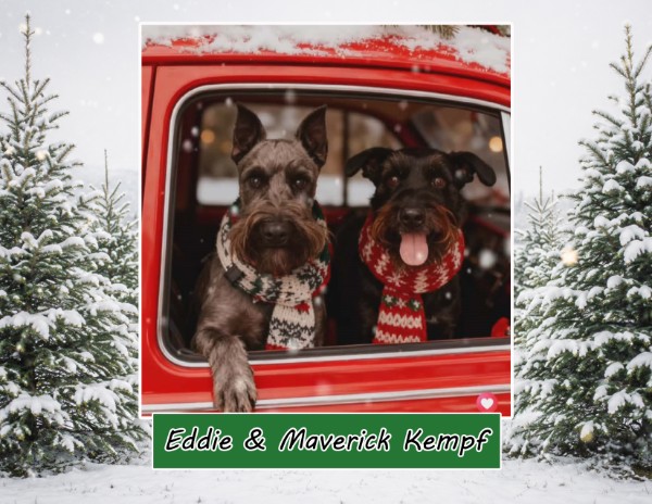 2027 Schnauzer Love Rescue Calendars